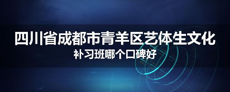 四川省成都市青羊区艺体生文化补习班哪个口碑好
