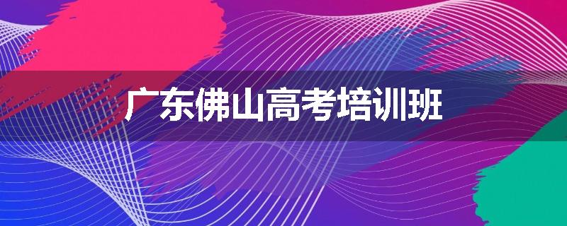 广东佛山高考培训班