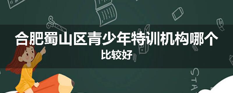 合肥蜀山区青少年特训机构哪个比较好