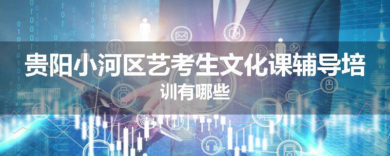 贵阳小河区艺考生文化课辅导培训有哪些