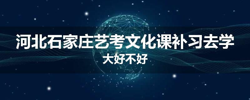 河北石家庄艺考文化课补习去学大好不好