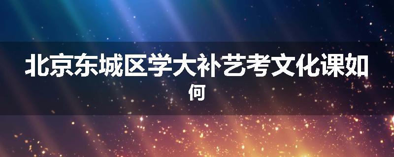 北京东城区学大补艺考文化课如何