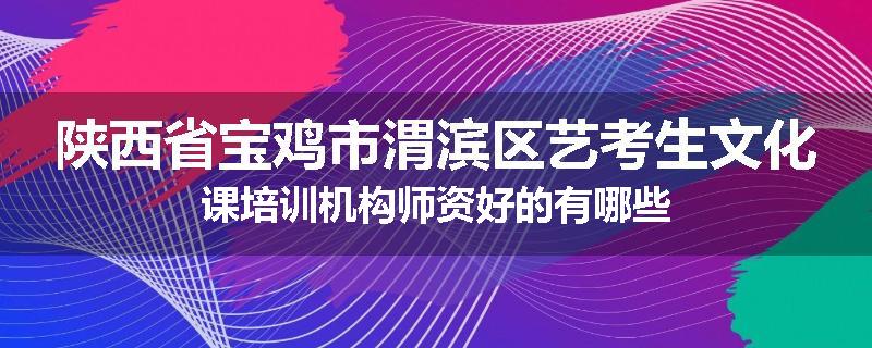 陕西省宝鸡市渭滨区艺考生文化课培训机构师资好的有哪些