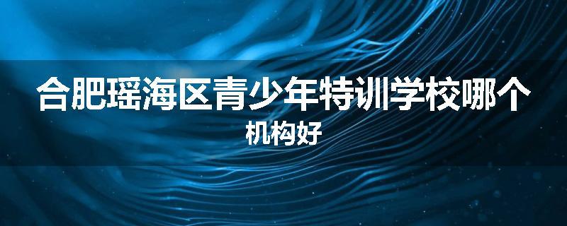 合肥瑶海区青少年特训学校哪个机构好