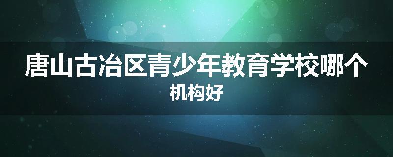 唐山古冶区青少年教育学校哪个机构好