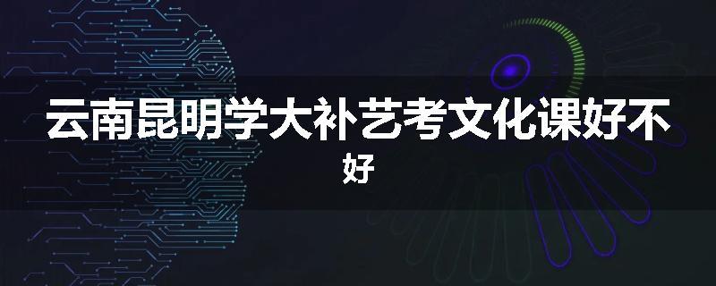 云南昆明学大补艺考文化课好不好
