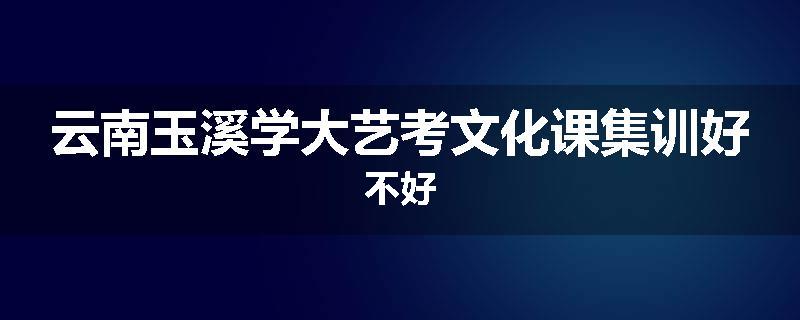 云南玉溪学大艺考文化课集训好不好