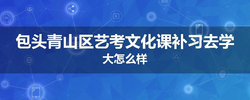 包头青山区艺考文化课补习去学大怎么样