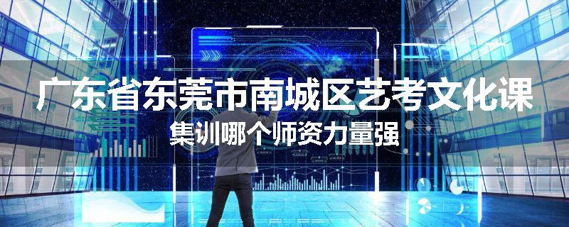广东省东莞市南城区艺考文化课集训哪个师资力量强