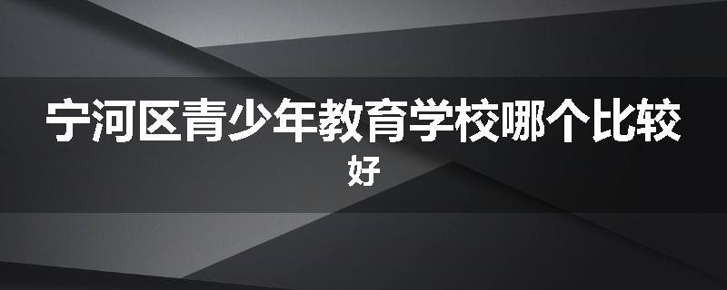 宁河区青少年教育学校哪个比较好