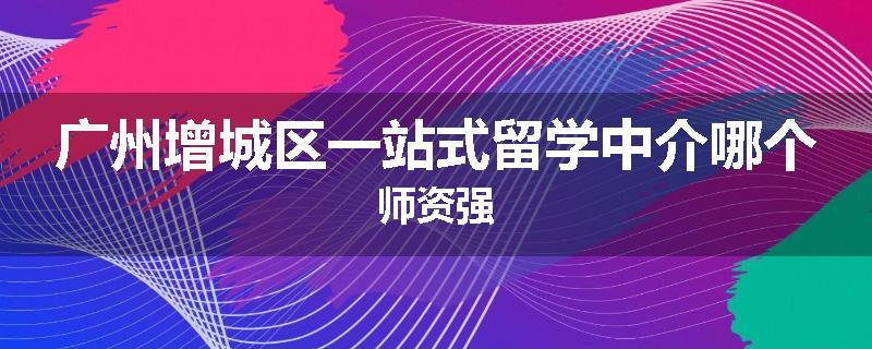 广州增城区一站式留学中介哪个师资强
