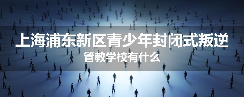上海浦东新区青少年封闭式叛逆管教学校有什么