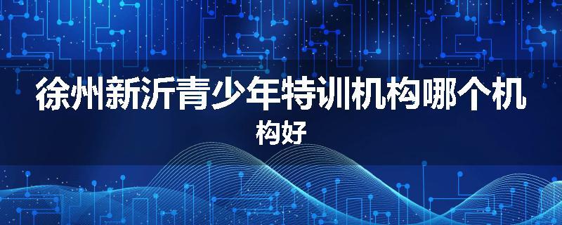 徐州新沂青少年特训机构哪个机构好