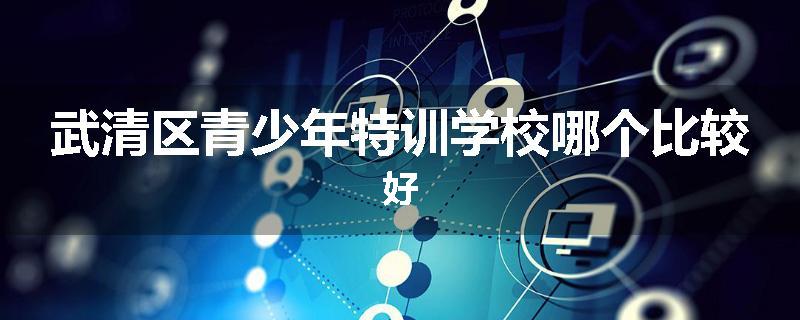武清区青少年特训学校哪个比较好