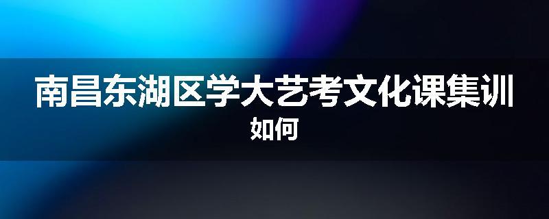 南昌东湖区学大艺考文化课集训如何