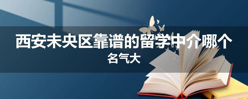 西安未央区靠谱的留学中介哪个名气大
