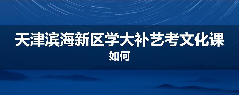 天津滨海新区学大补艺考文化课如何
