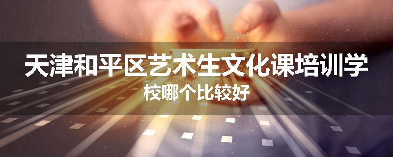 天津和平区艺术生文化课培训学校哪个比较好