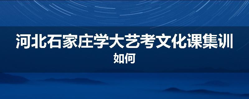 河北石家庄学大艺考文化课集训如何