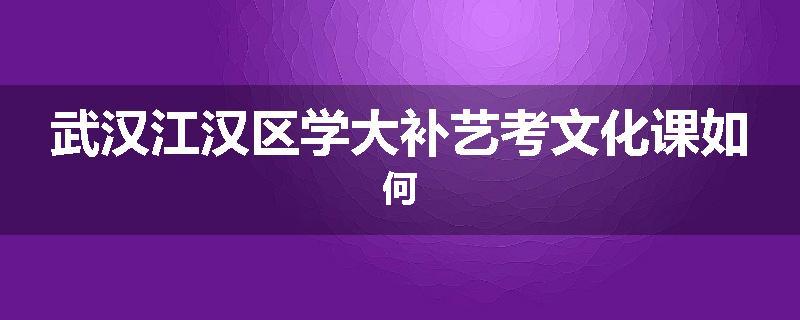武汉江汉区学大补艺考文化课如何