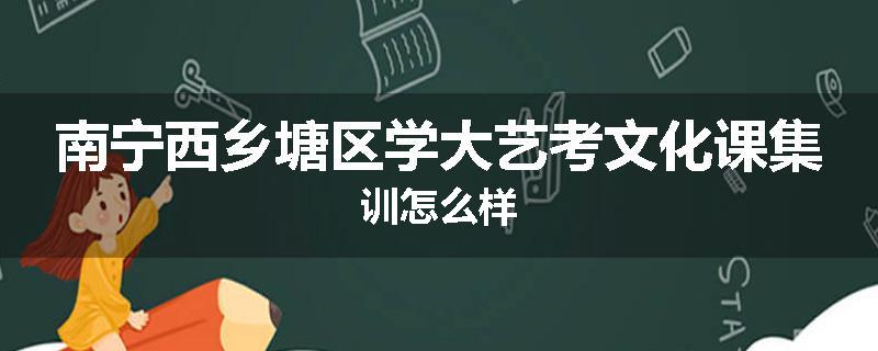 南宁西乡塘区学大艺考文化课集训怎么样