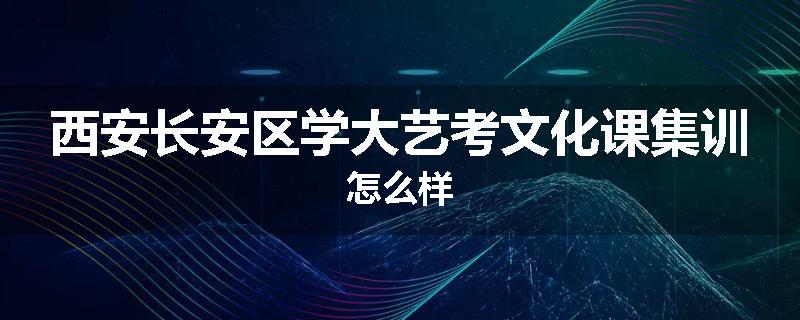 西安长安区学大艺考文化课集训怎么样