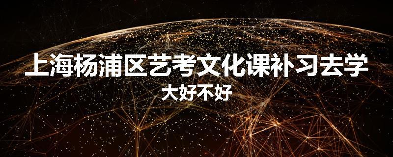 上海杨浦区艺考文化课补习去学大好不好