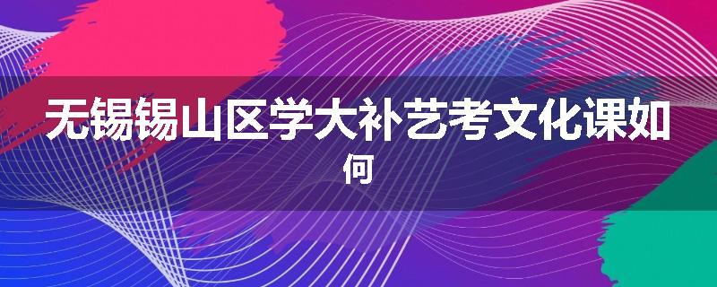 无锡锡山区学大补艺考文化课如何