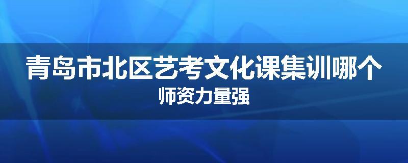青岛市北区艺考文化课集训哪个师资力量强