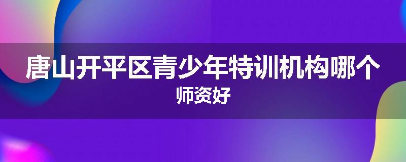 唐山开平区青少年特训机构哪个师资好