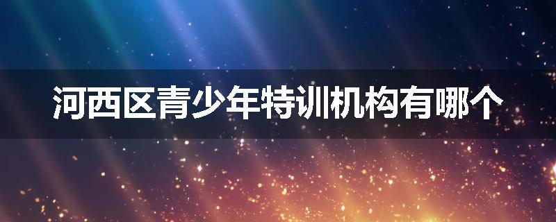 河西区青少年特训机构有哪个