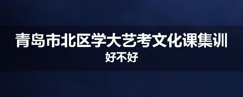 青岛市北区学大艺考文化课集训好不好