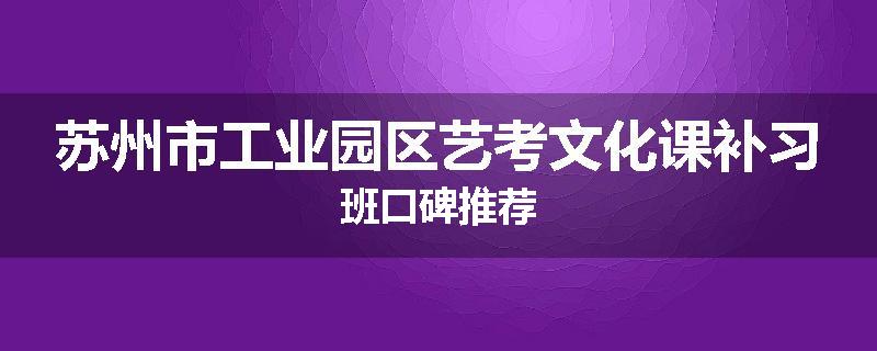 苏州市工业园区艺考文化课补习班口碑推荐