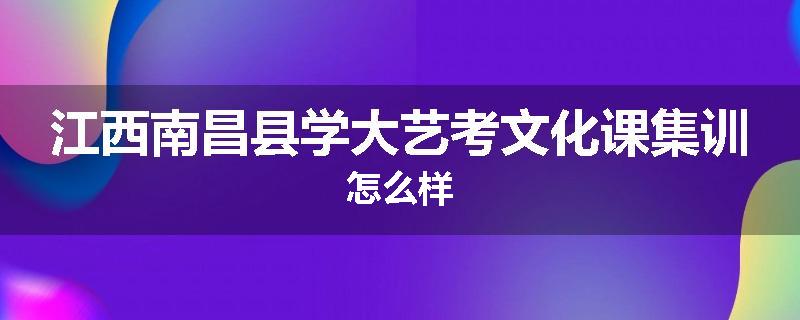 江西南昌县学大艺考文化课集训怎么样