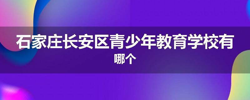 石家庄长安区青少年教育学校有哪个