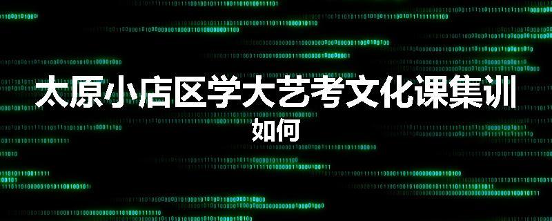 太原小店区学大艺考文化课集训如何