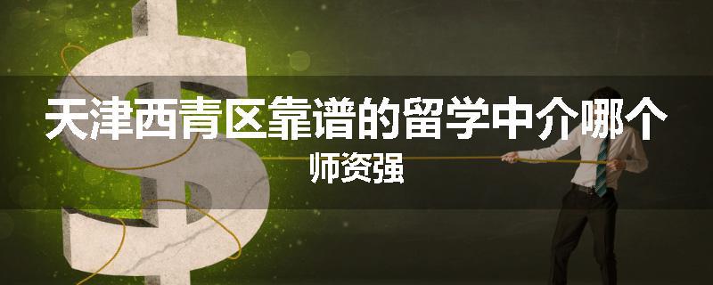天津西青区靠谱的留学中介哪个师资强