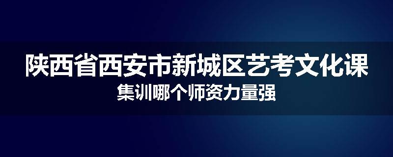 陕西省西安市新城区艺考文化课集训哪个师资力量强
