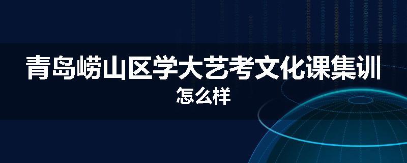 青岛崂山区学大艺考文化课集训怎么样