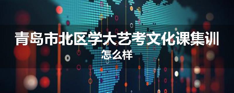 青岛市北区学大艺考文化课集训怎么样