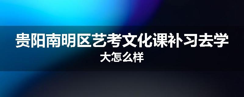 贵阳南明区艺考文化课补习去学大怎么样