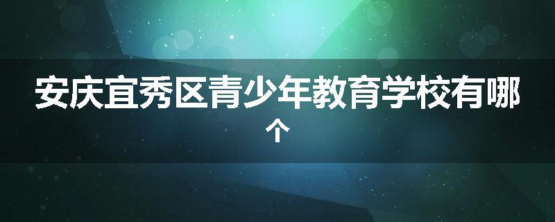 安庆宜秀区青少年教育学校有哪个