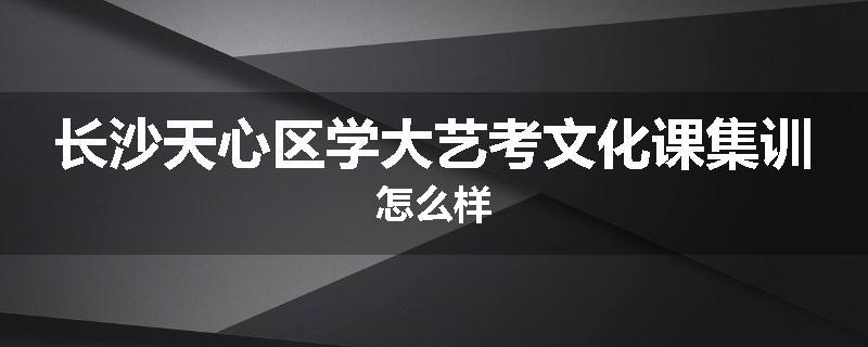 长沙天心区学大艺考文化课集训怎么样