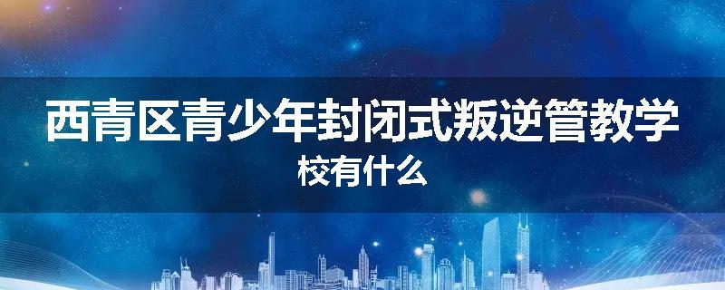 西青区青少年封闭式叛逆管教学校有什么