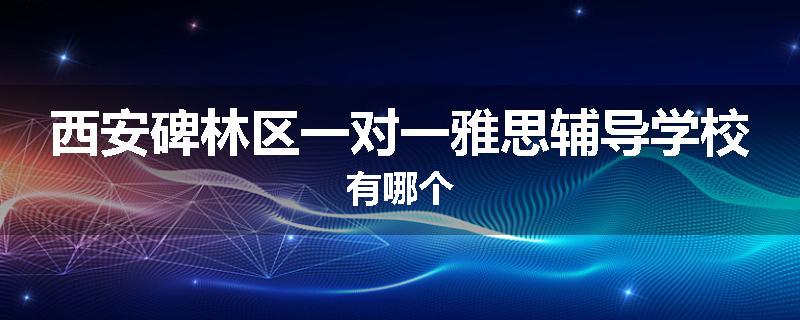 西安碑林区一对一雅思辅导学校有哪个