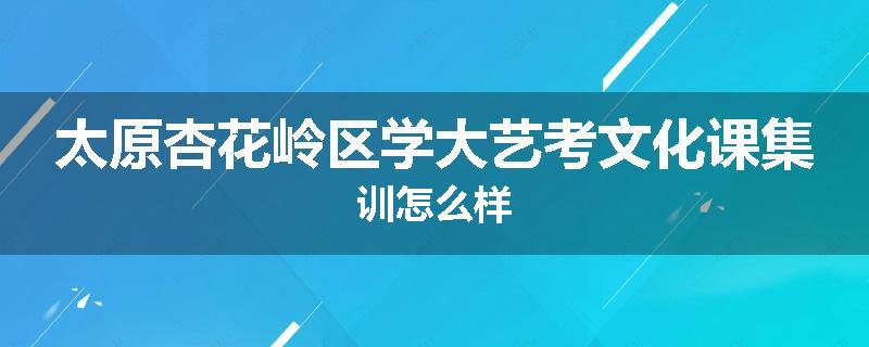 太原杏花岭区学大艺考文化课集训怎么样