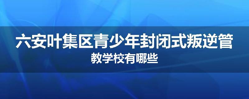六安叶集区青少年封闭式叛逆管教学校有哪些