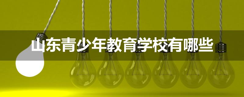 山东青少年教育学校有哪些