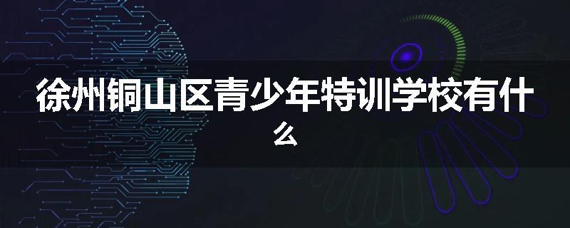 徐州铜山区青少年特训学校有什么