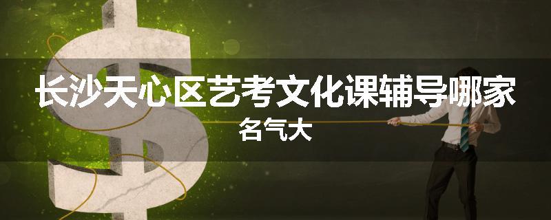 长沙天心区艺考文化课辅导哪家名气大